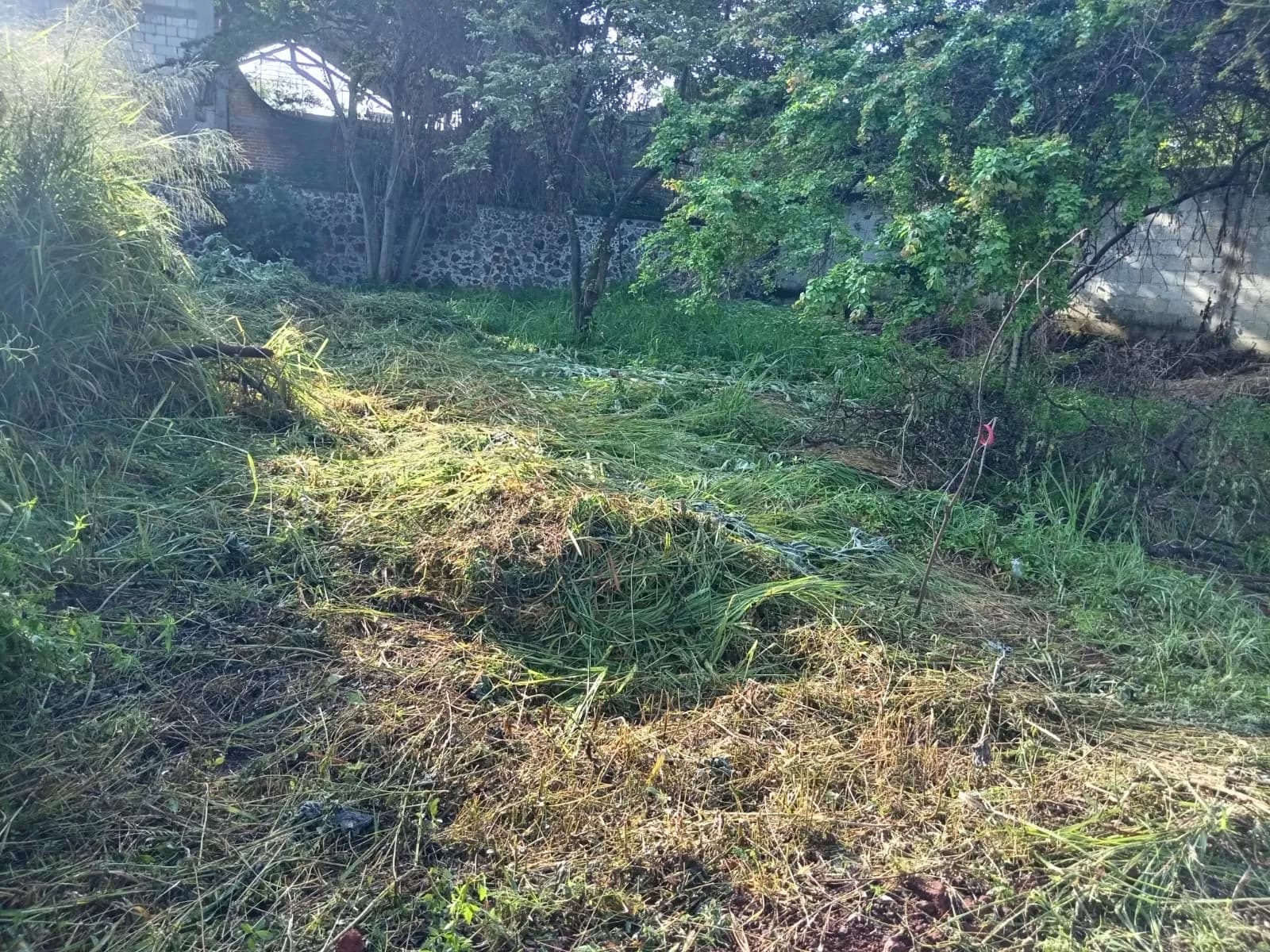 Terreno en venta en Apanquetzalco, Yautepec — fotografía 1 de 2